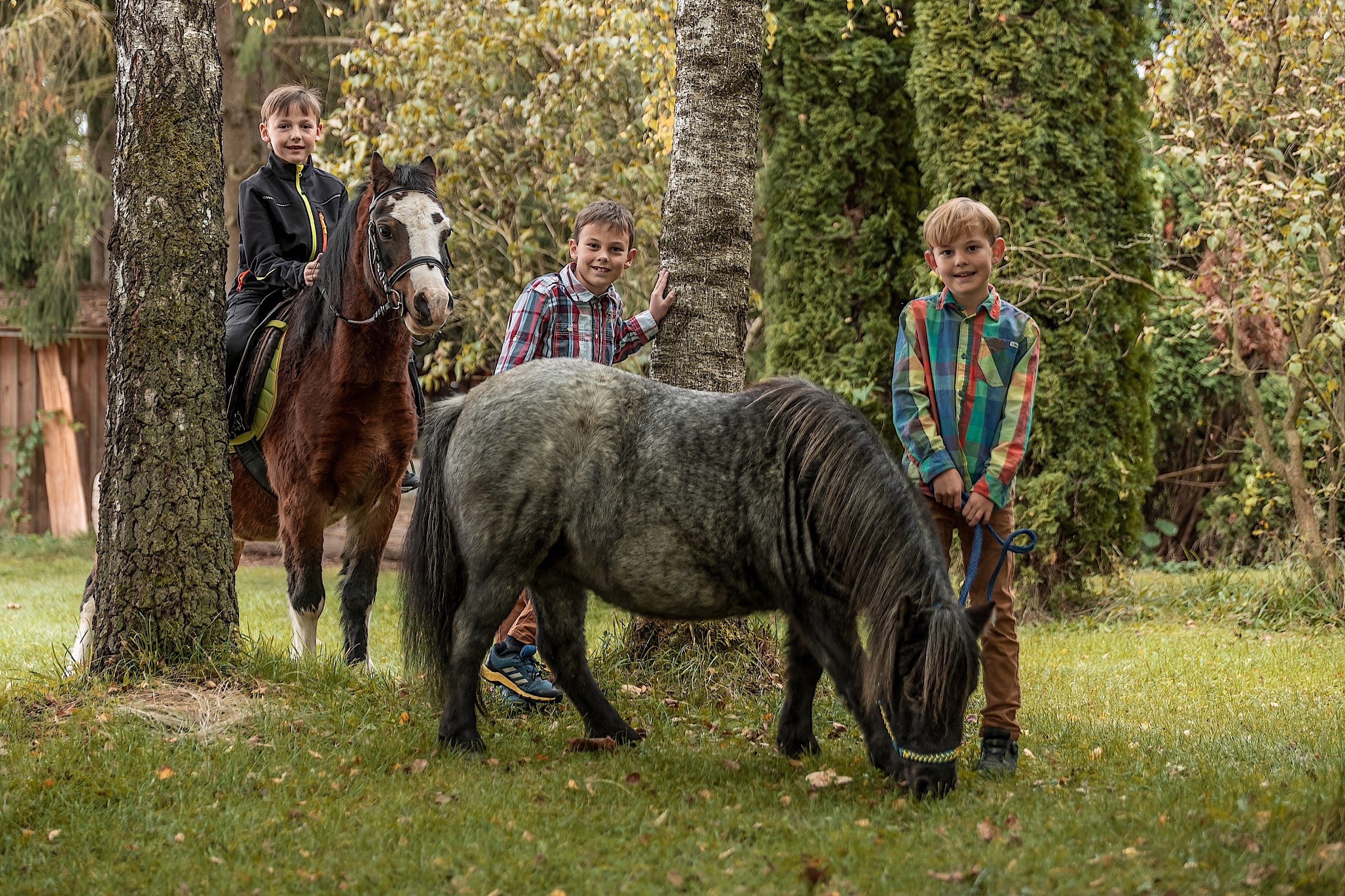 Ferienhof Rösch Reiten Pony und Kinder