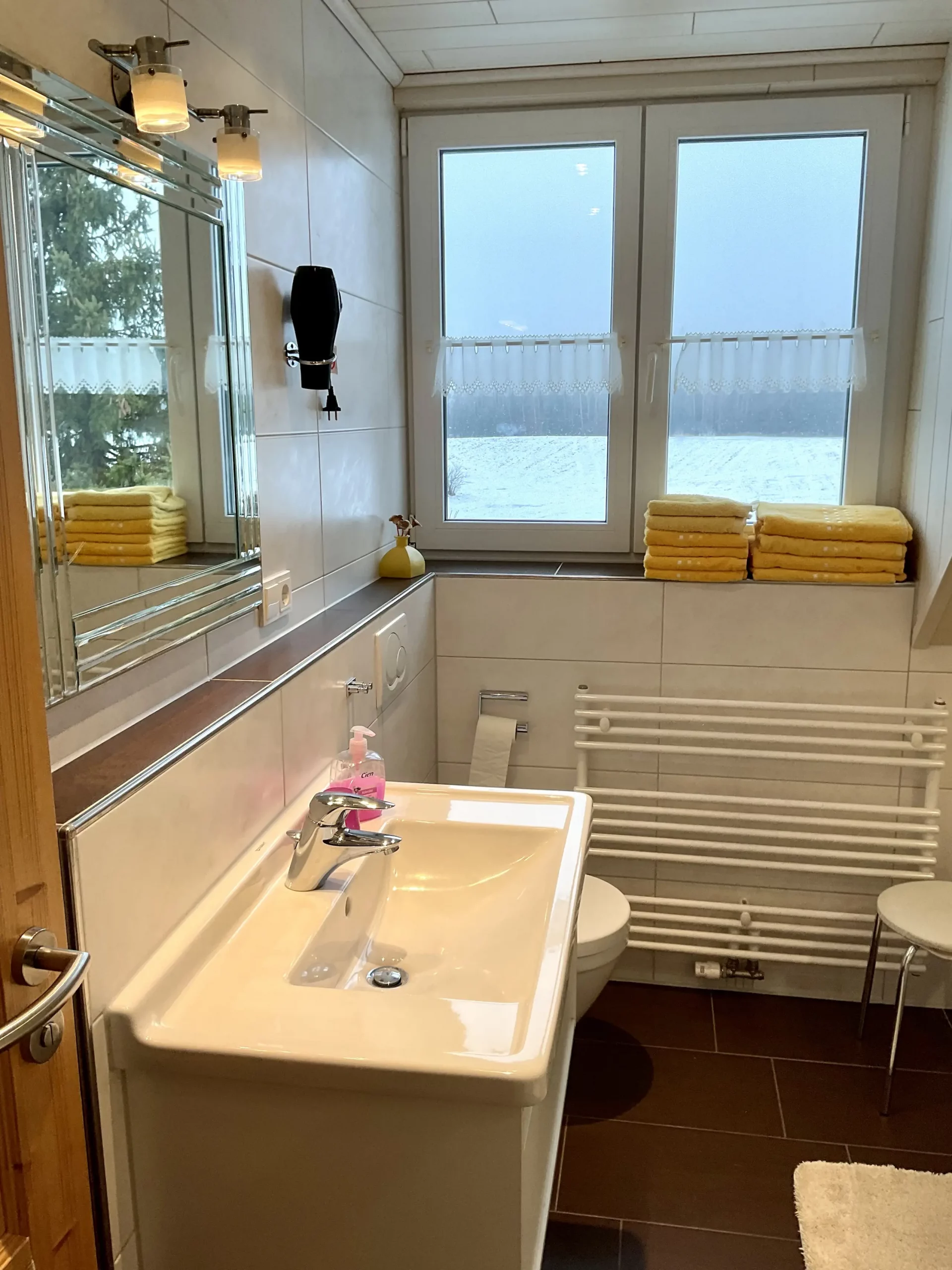 Ferienhof Rösch Ferienwohnung Badezimmer